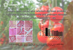 Dra. Guadalupe Bravo - Tomato lipidic extract plus selenium decrease prostatic hyperplasia,  dihydrotestosterone and androgen receptor expression  versus fnasteride in rats
