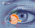 Monica Lamas - Epigenetic mechanisms of non-retinal components of the aging eye and novel therapeutic strategies