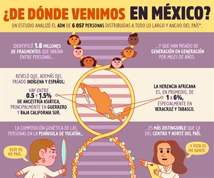 ¿De dónde venimos?