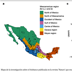 El mapa genético que revela la diversidad de los mexicanos y los...