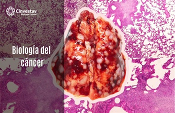 Biología del cáncer