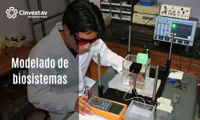 Modelado de biosistemas