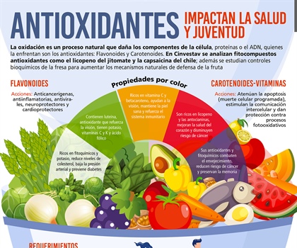 Antioxidantes, impactan en la salud y juventud