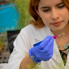 2024 Call for MS and PhD Programs in Plant Biotechnology, Cinvestav Irapuato