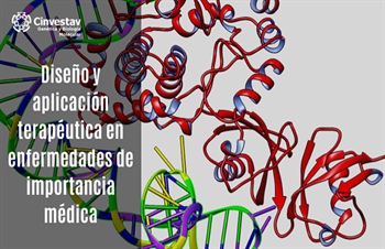 Diseño y aplicación terapéutica en enfermedades de importancia médica