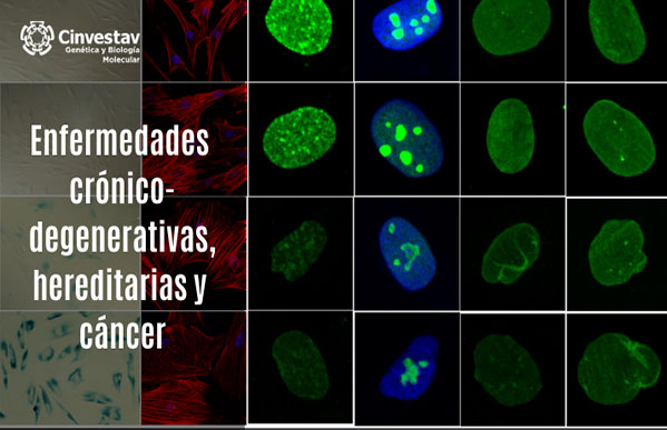 Enfermedades crónico-degenerativas, hereditarias y cáncer