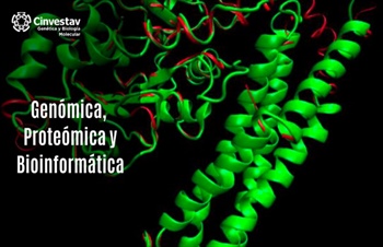 Genómica, proteómica y bioinformática.