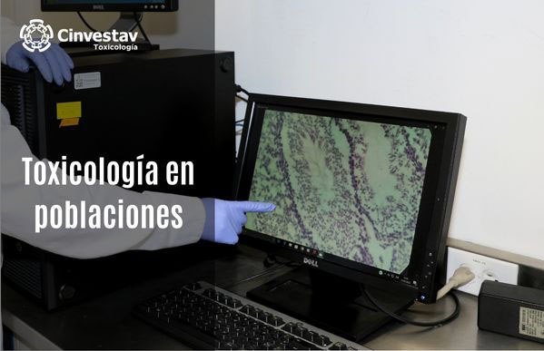 TOXICOLOGÍA EN POBLACIONES