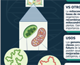 Genomas organelares de Arabidopsis