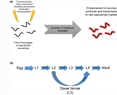 The evolution of entomopathogeny in nematodes