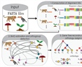 REvolutionH-tl: Reconstruction of Evolutionary Histories tool