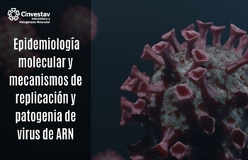 Epidemiologia molecular y mecanismos de replicación y patogenia del virus de ARN