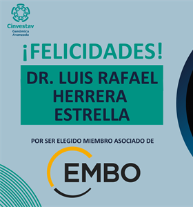 Outstanding scientists elected to EMBO Membership