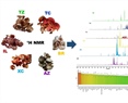 Revealing the 1H-NMR Profiling of Six Edible Mushrooms Consumed in the Northeastern Highlands of Puebla, Mexico