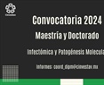 Convocatoria 2024