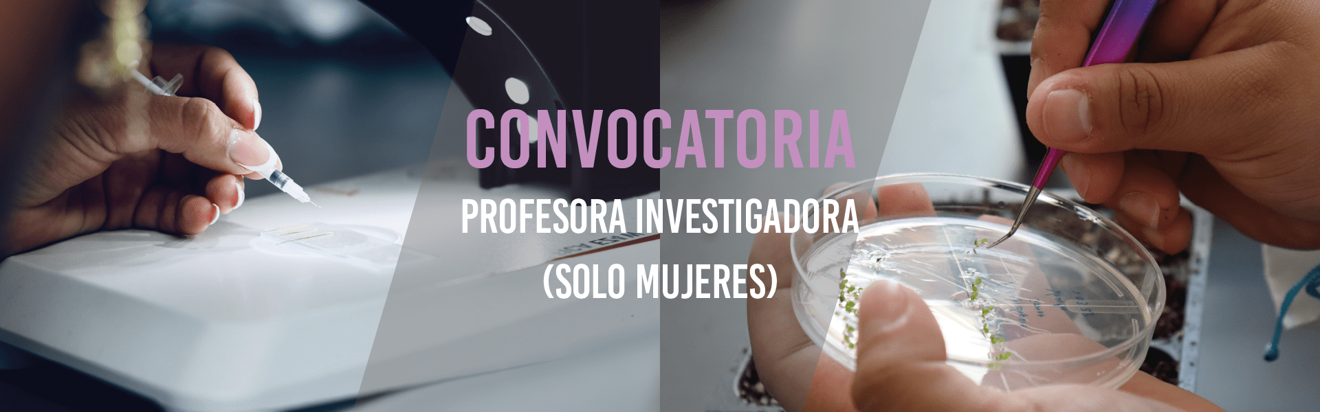 Profesora Investigadora (Solo mujeres)