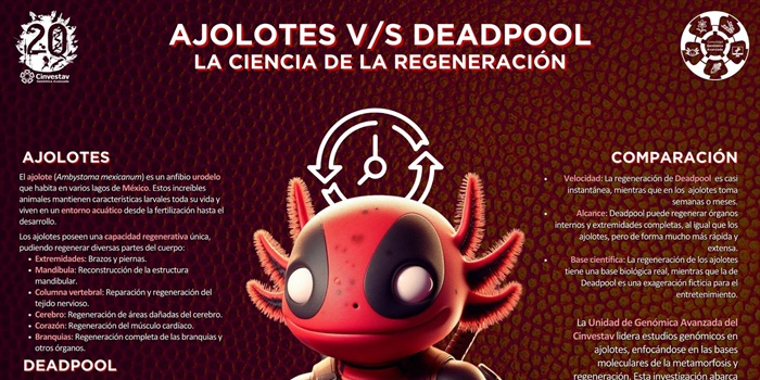 ¿Por qué el ajolote mexicano debería estar en el Mundo Marvel?