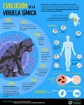 Evolución de la viruela símica a 2024