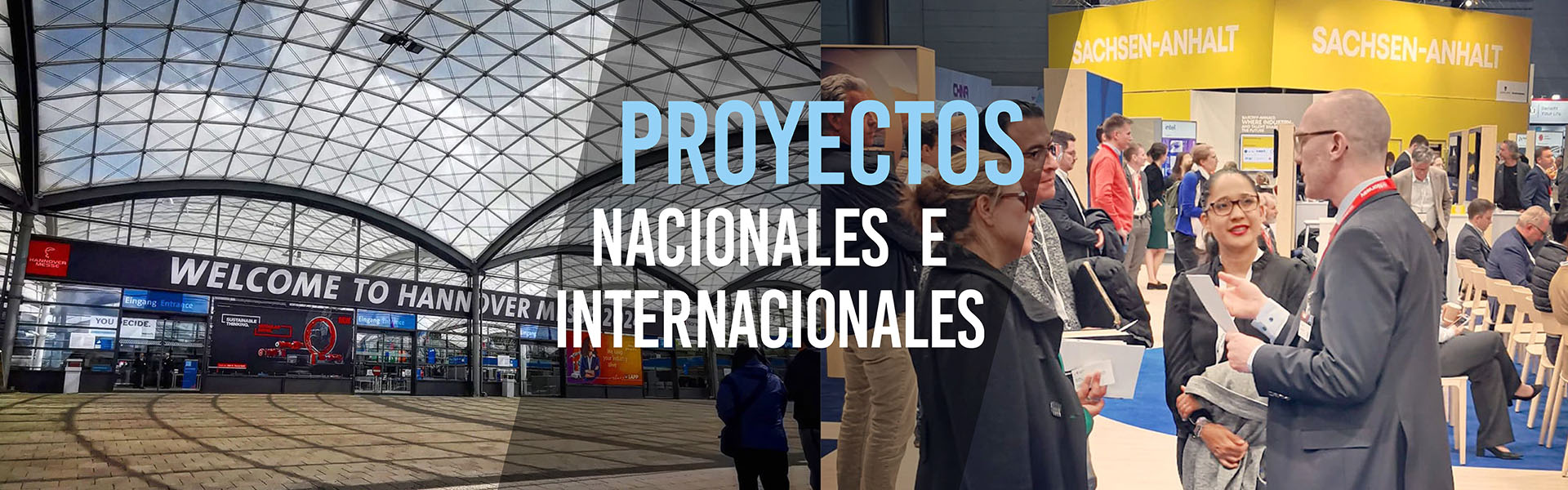 Banner Home - Proyectos