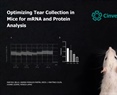 Monica Lamas - Optimizing Tear Collection in Mice for mRNA and Protein Analysis