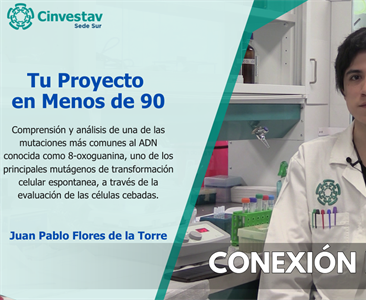 Tu proyecto en menos de 90