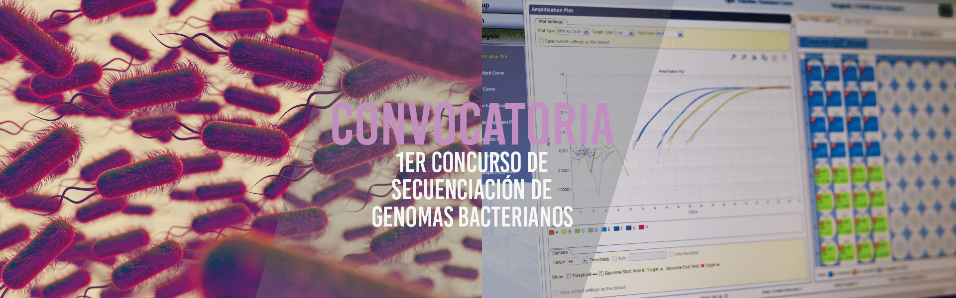 1er Concurso de secuenciación de genomas bacterianos