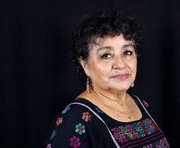 María Teresa Castillo Burguete