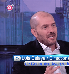 Entrevista al Dr. Luis José Delaye Arredondo