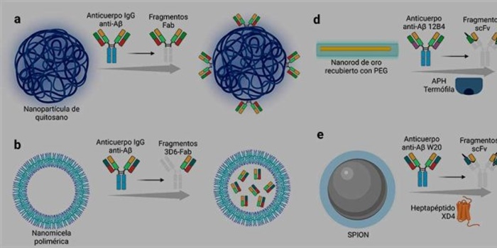 Nanofármacos emergentes como tratamiento para la enfermedad de Alzheimer