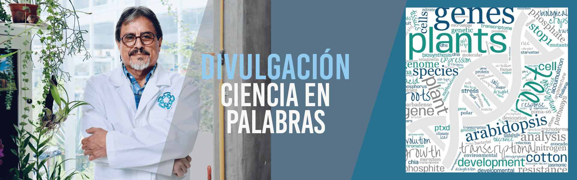 Ciencia en palabras