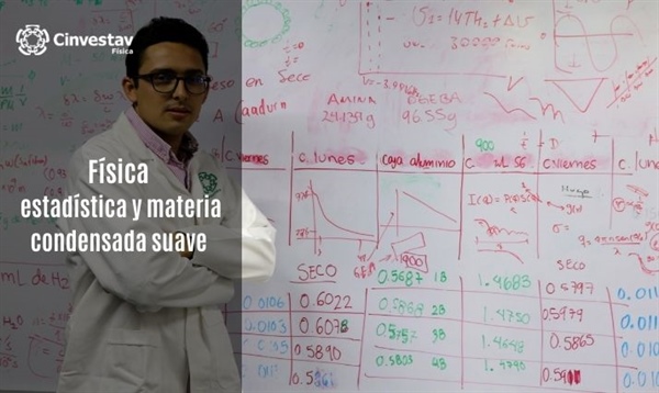 Física Estadística y Materia Condensada Suave