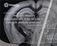 Alonso Fernández Guasti - Androgen receptors immunoreactivity in the rat brain of males with same-sex preference.