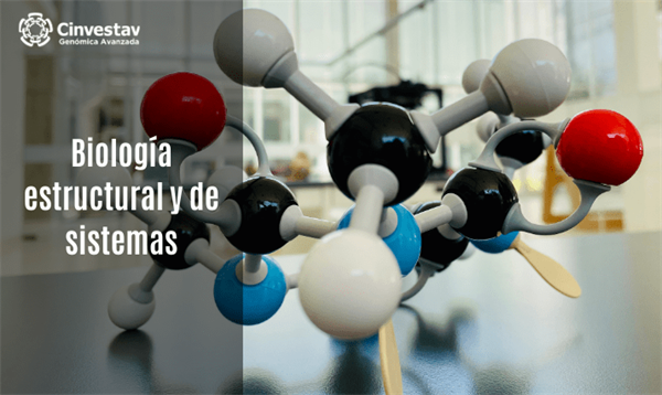 BIOLOGÍA ESTRUCTURAL Y DE SISTEMAS