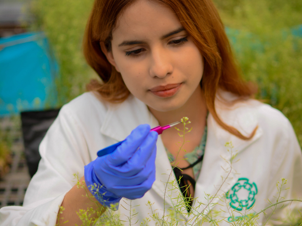 Biotecnología de plantas