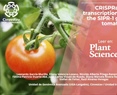 CRISPRa-mediated transcriptional activation of the SlPR-1 gene in edited tomato plants