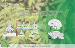 The endogenous cannabinoid system modulates male sexual behavior expression
