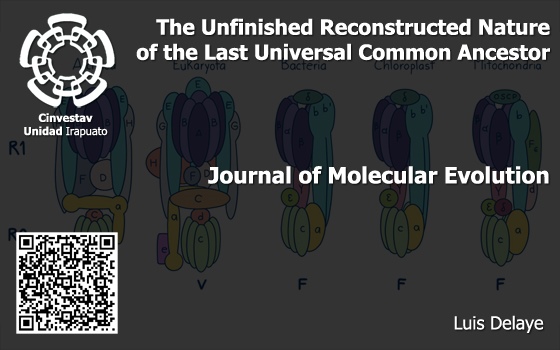 The Unfinished Reconstructed Nature of the Last Universal Common Ancestor