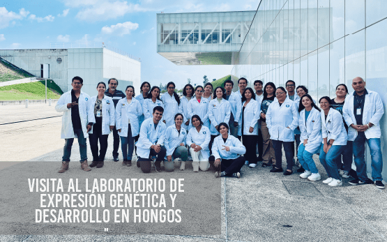 Visita al Laboratorio de Expresión Genética y Desarrollo en Hongos