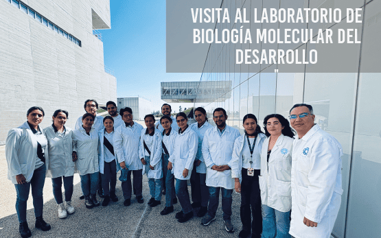 Visita al Laboratorio de Biología Molecular del Desarrollo