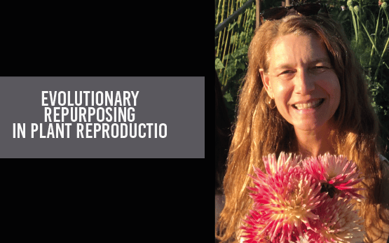 Seminario: Evolutionary repurposing in plant reproductio