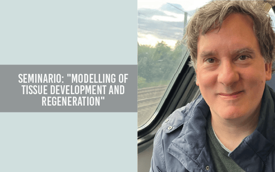 Seminario: Modelling of tissue development and regeneration