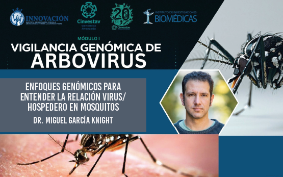 Enfoques genómicos para entender la relación virus/hospedero en mosquitos