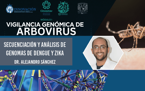 Secuenciación y análisis de genomas de dengue y zika