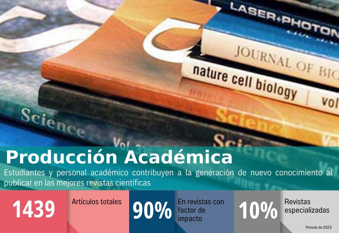 Indicadores-Produccion academica